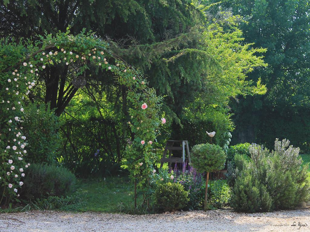 טרוויסו La Vigna B&B מראה חיצוני תמונה